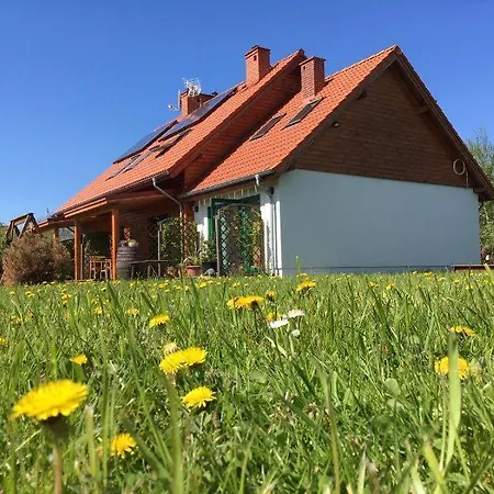 Liwia Park 니에초르체