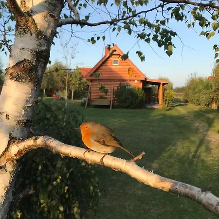 Liwia Park * 니에초르체